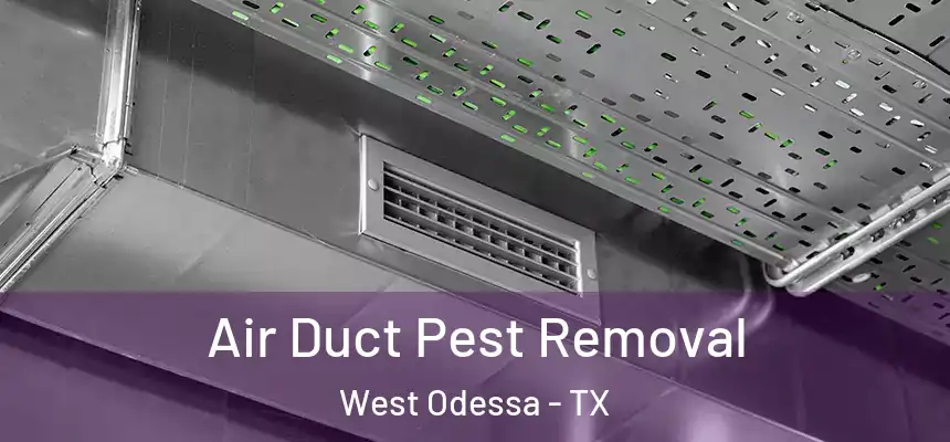 Air Duct Pest Removal West Odessa - TX
