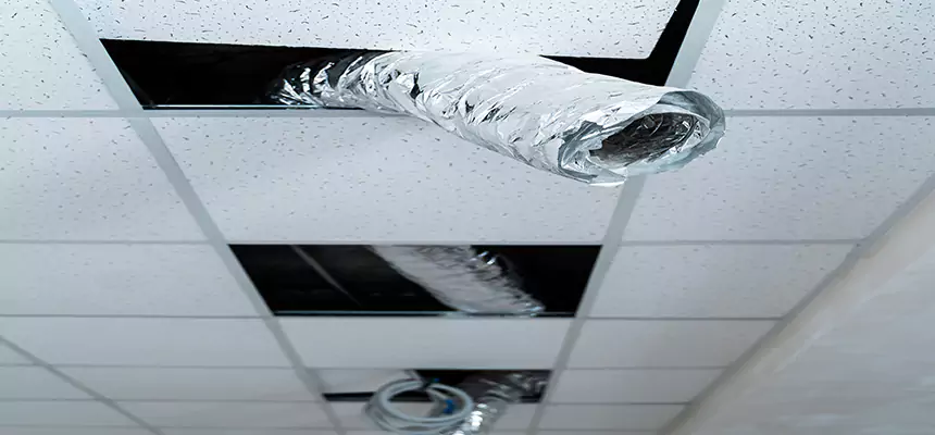 Affordable HVAC Sanitizing After Pest Removal in West Odessa