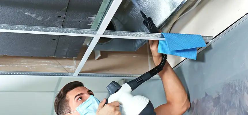 Our Air Duct Rodent Removal Services in West Odessa, TX