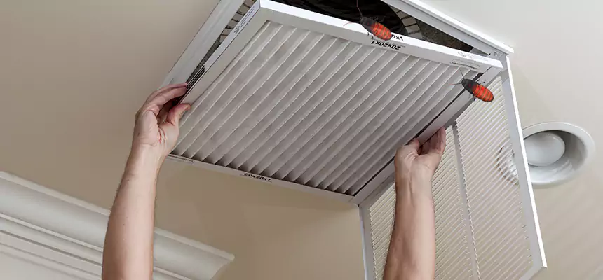 Our Insect Removal from Air Ducts Services in West Odessa, TX