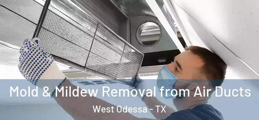 Mold & Mildew Removal from Air Ducts West Odessa - TX