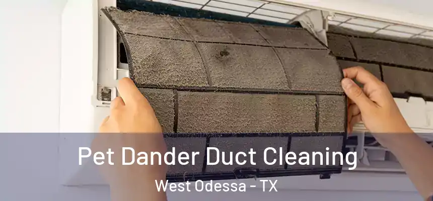Pet Dander Duct Cleaning West Odessa - TX