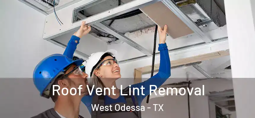  Roof Vent Lint Removal West Odessa - TX