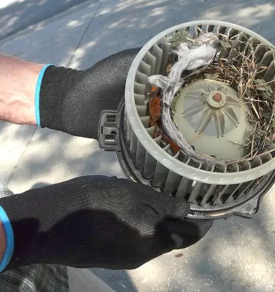 About Air Duct Mice Removal in West Odessa, TX