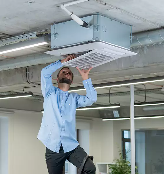 Advanced Rodent Droppings In Vents in West Odessa, TX
